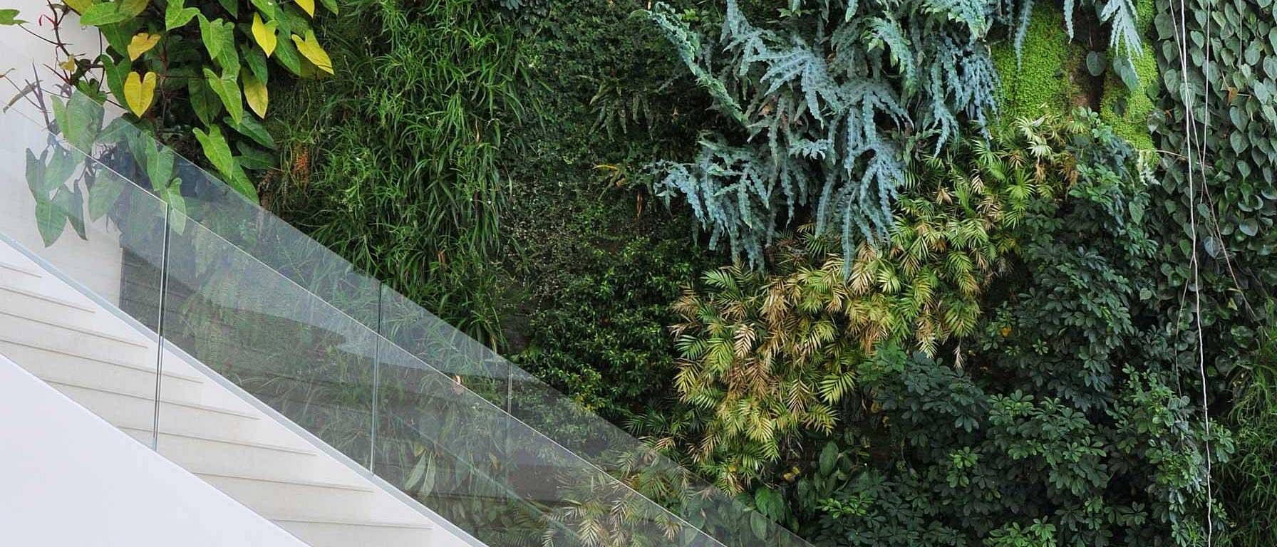 Wall with Plants